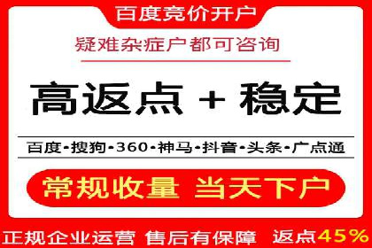 案例剖析：关键词竞价排名成功之道
